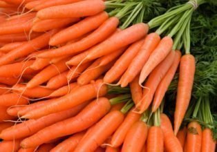 Carrots