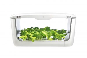 vegebox, indoor hydroponic garden, indoor garden, microgreens,