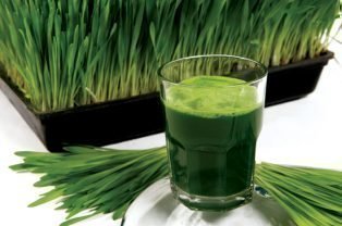 Wheatgrass Shot