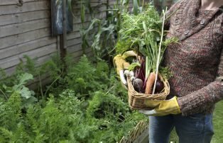 Gardening