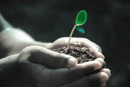 Hands holding soil