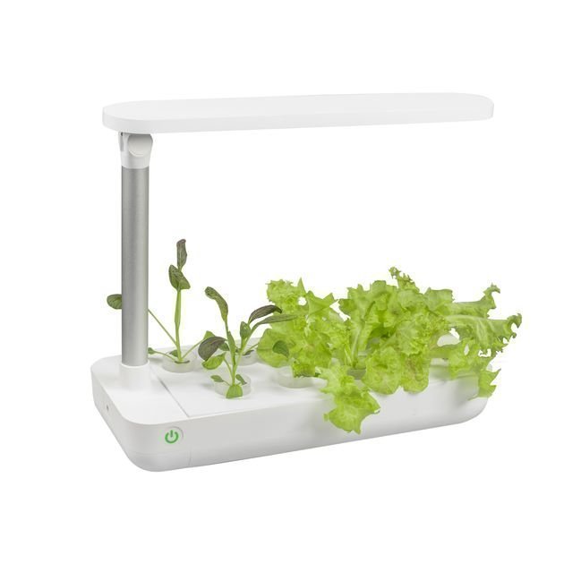 Indoor Hydroponic Garden VegeBox Table